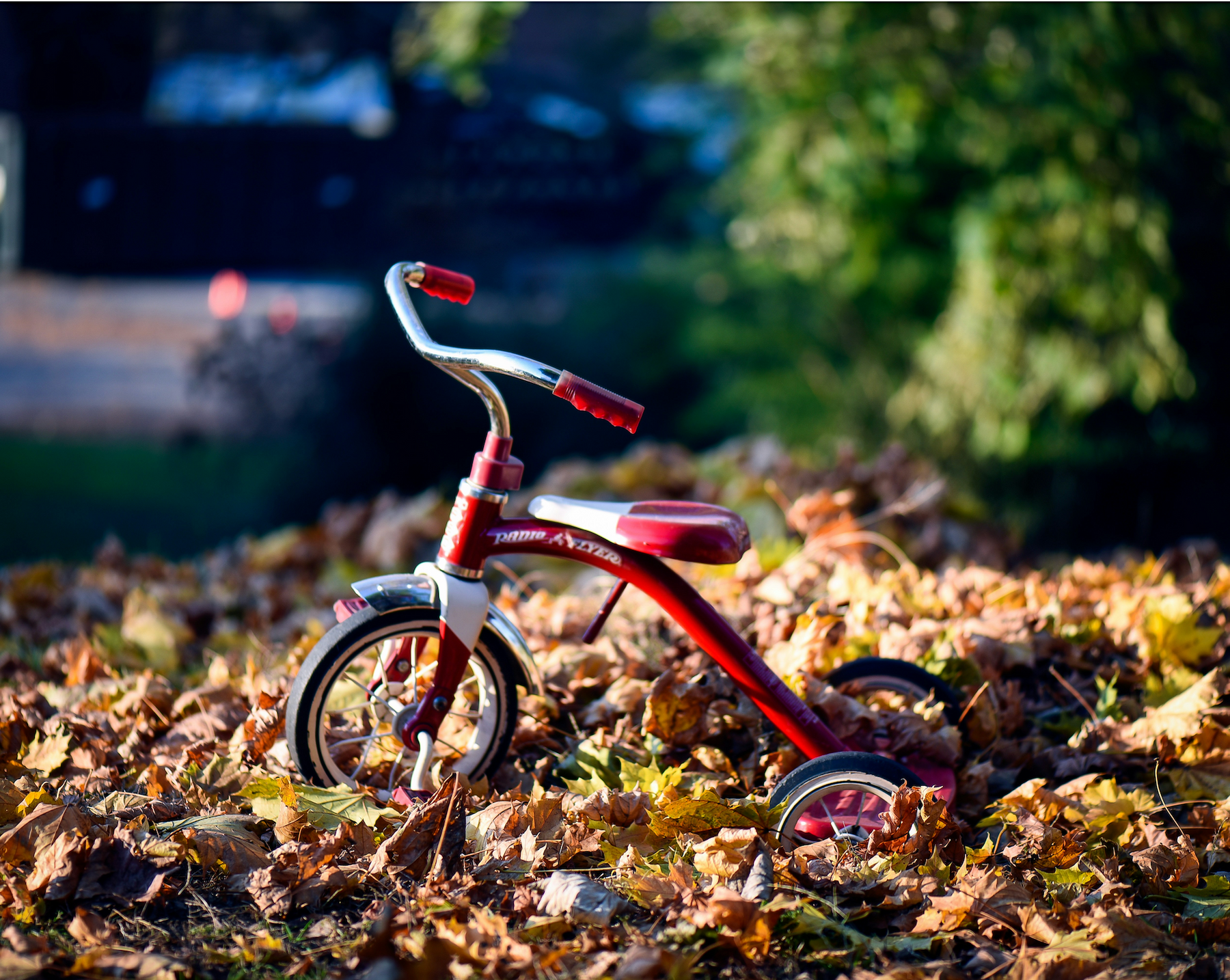 Radio Flyer Ride-On Toys for Kids & Toddlers