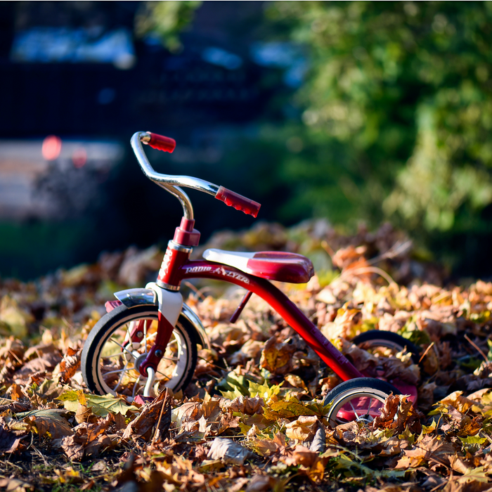 Radio Flyer Ride-On Toys for Kids & Toddlers