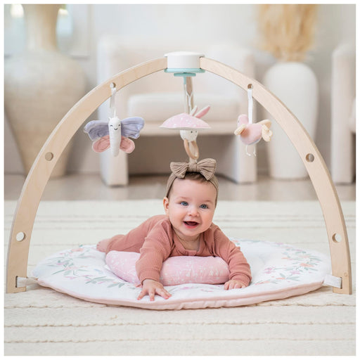 used Aden + Anais Play + Discover Baby Activity Gym, Ma Fluer