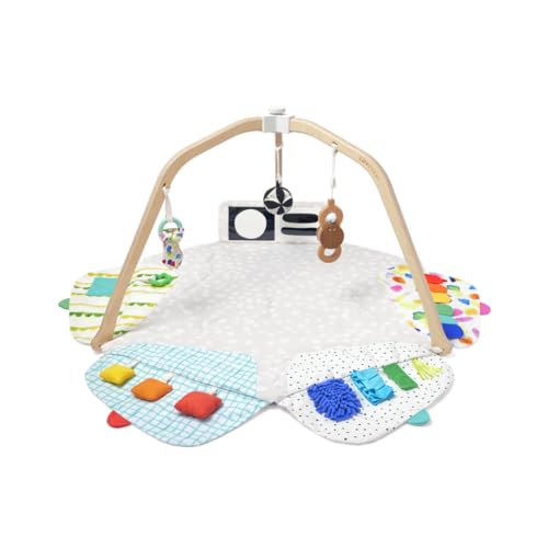 used Lovevery The Play Gym