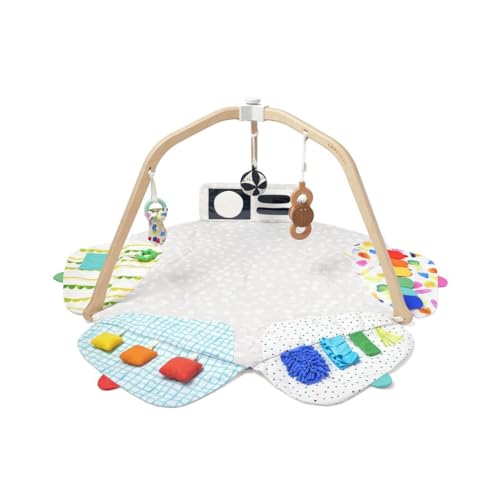 used Lovevery The Play Gym