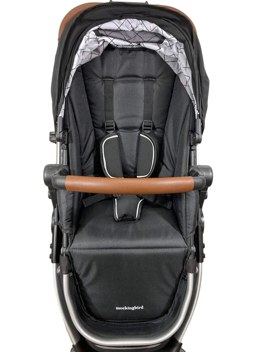 used Standard Strollers