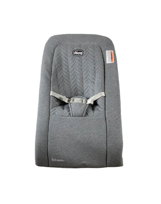 Chicco E-Motion Auto-Glider & Bouncer Seat Cover