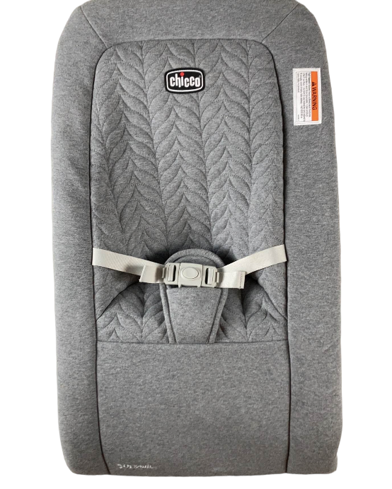 Chicco E-Motion Auto-Glider & Bouncer Seat Cover