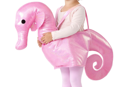 Pottery Barn Kids Shimmer Seahorse Ride-on Costume, Small