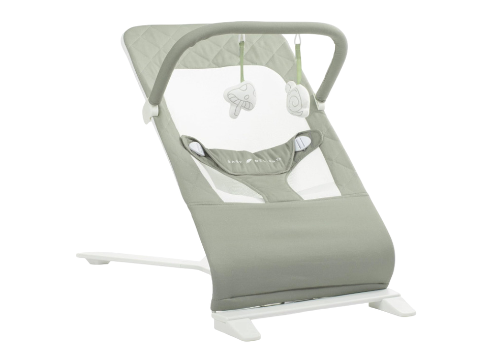 Baby Delight Go With Me Alpine Deluxe Portable Bouncer, Sage