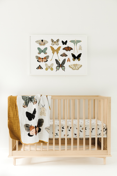 Clementine Kids Butterfly Collector Quilt