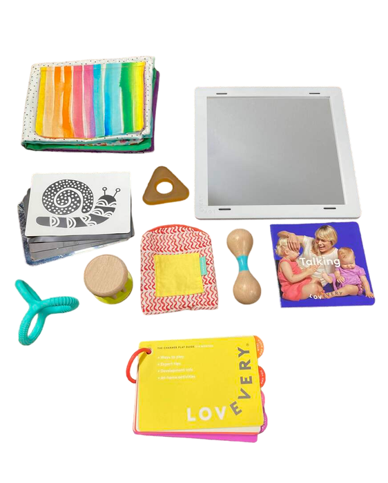 used Lovevery The Charmer Play Kit