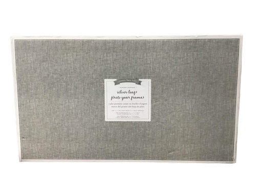 used Pottery Barn Kids Silver Leaf First Year Frame