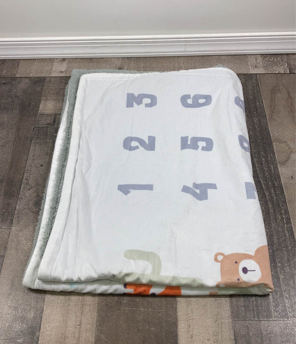 used Milestone Blanket