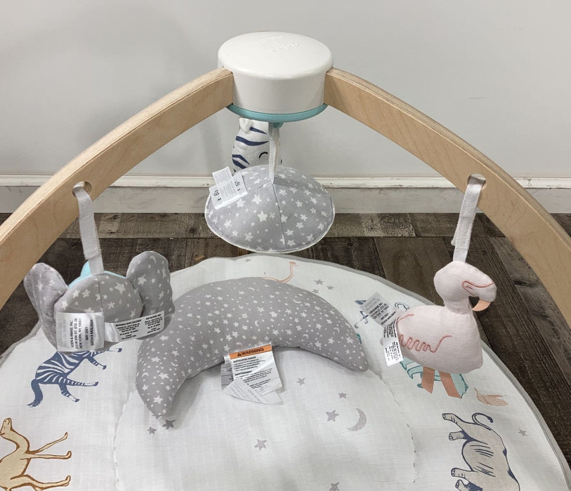 secondhand Aden + Anais Play + Discover Baby Activity Gym