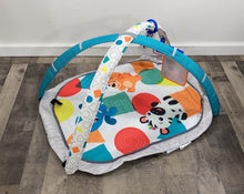 used Baby Einstein Activity Gym