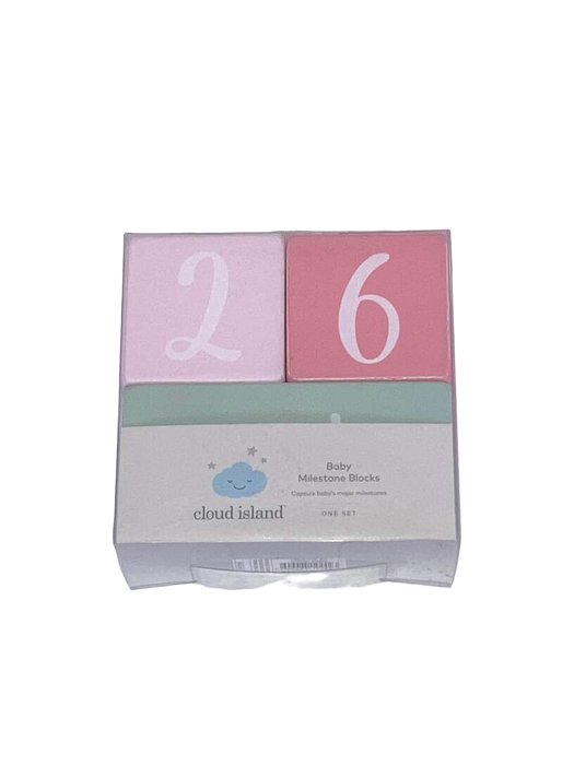 secondhand Cloud Island Milestone Wood Blocks