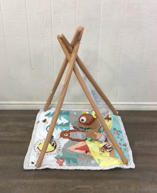 secondhand Skip Hop Camping Cubs Activity Gym