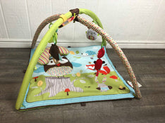 used Skip Hop Activity Gym/ Playmat, Treetop Friends