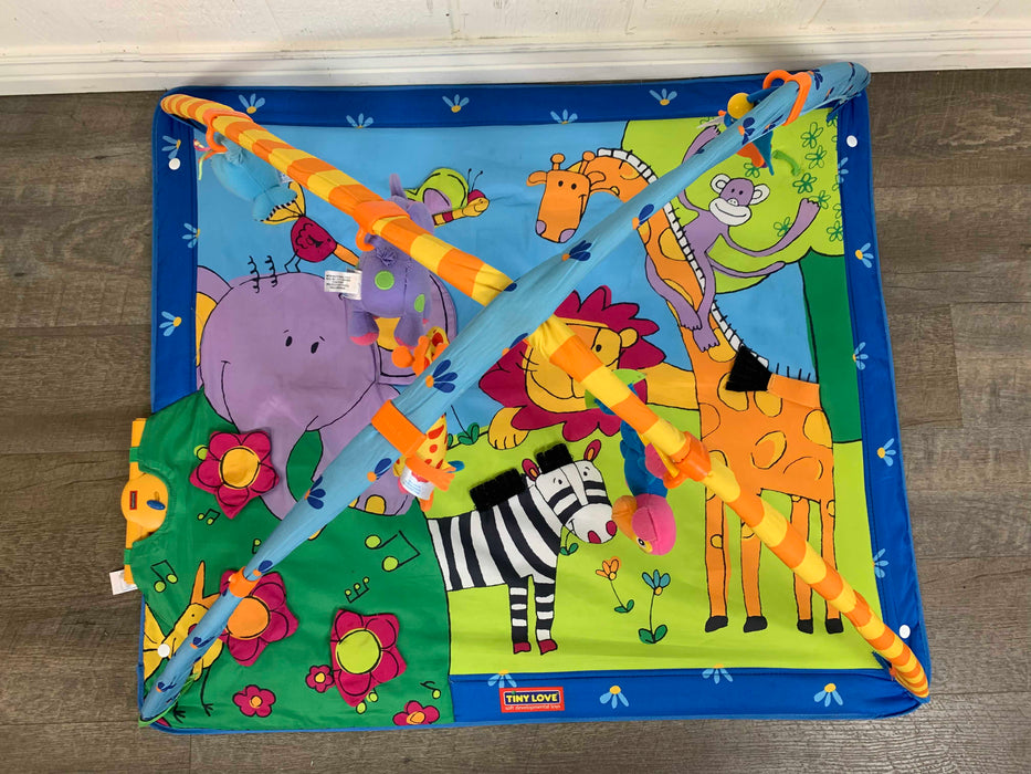 secondhand Tiny Love Gymini Super Deluxe Activity Playmat