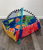 used Baby Einstein Activity Gym, Around The World