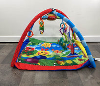 secondhand Baby Einstein Activity Gym, Caterpillar And Friends