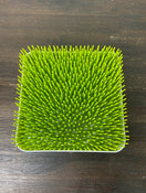 used Boon Grass Countertop Drying Rack