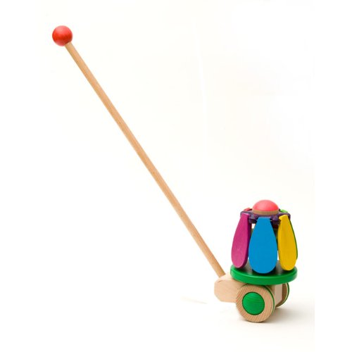 Bajo Flower Push Toy