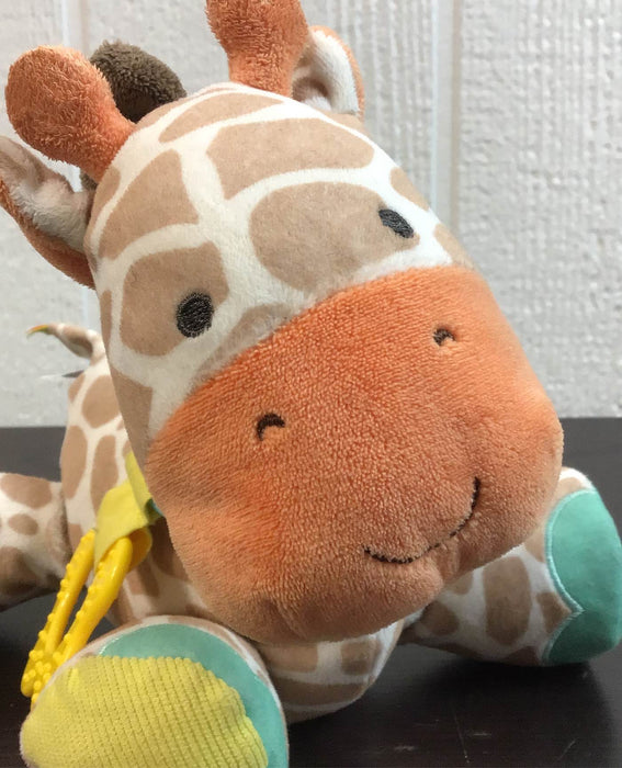 used Carter’s Developmental Giraffe