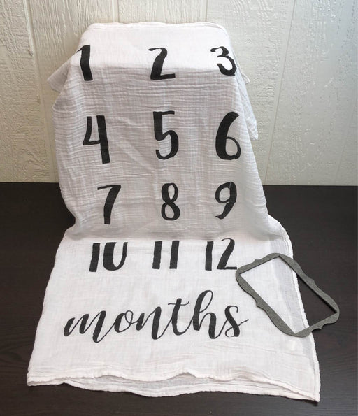 used Mud Pie Monthly Milestone Blanket