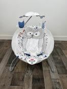 used Fisher Price Deluxe Bouncer, Owl Love You