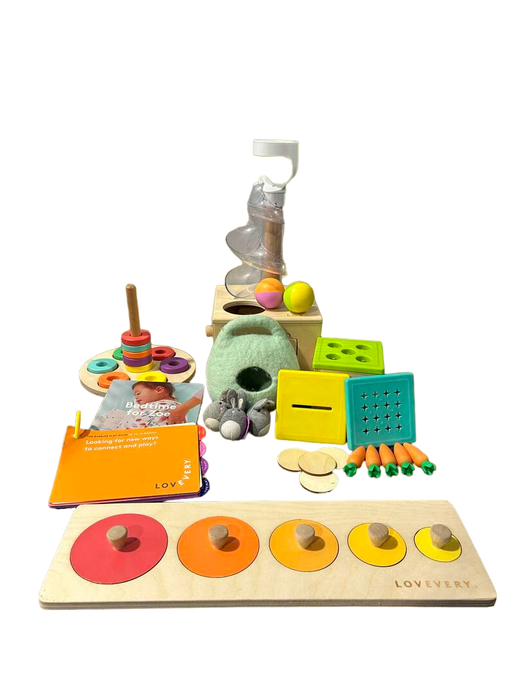 used Lovevery The Babbler Play Kit