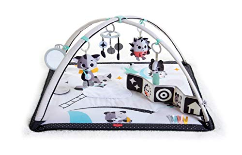 used Tiny Love Black & White Gymini Activity Playmat, Magical Tales, Missing toys