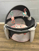 used Fisher Price On-The-Go Baby Dome