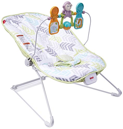 used Fisher Price Baby Bouncer