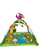 used Fisher Price Zoo Playmat