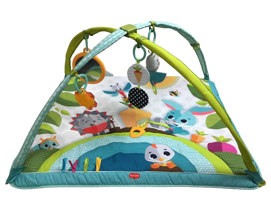 used Tiny Love Gymini Super Deluxe Activity Playmat, Meadow Days Sunny Day