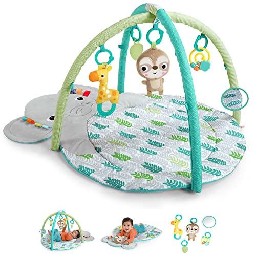 Bright Starts Activity Gym, Hug ‘n Cuddle Elephant 