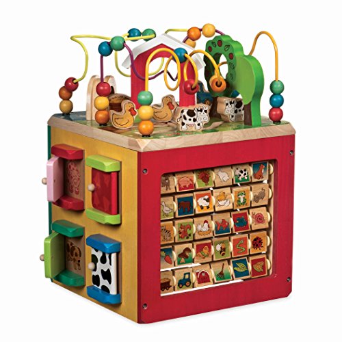 B. Toys Zany Zoo Wooden Activity Cube