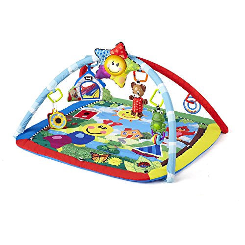 used Baby Einstein Activity Gym