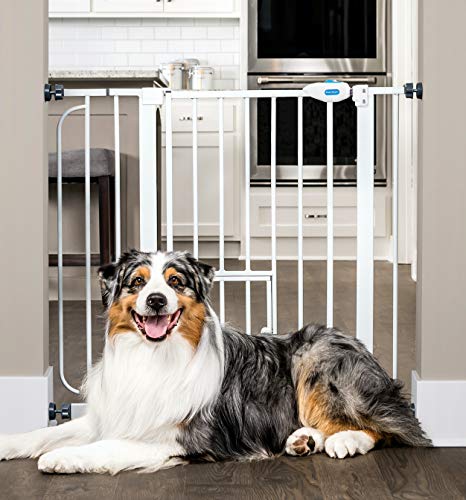 used Carlson Extra-Wide Walk Through Pet Gate