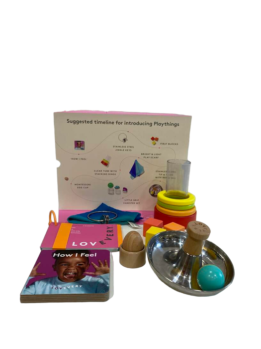 used Lovevery The Explorer Play Kit