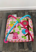 used Bright Starts Activity Gym, pink owl