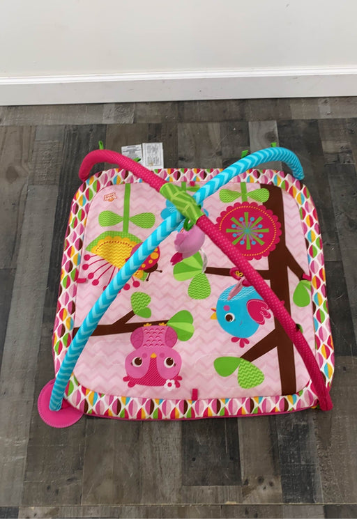 used Bright Starts Activity Gym, pink owl