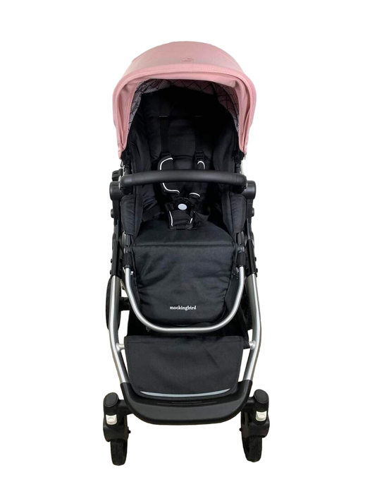 used Standard Strollers