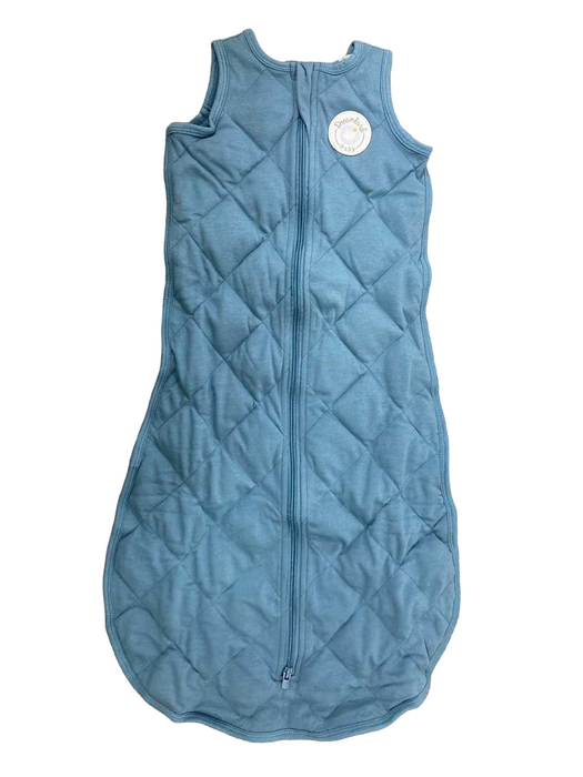 secondhand Dreamland Weighted Sleep Sack, 6-12 months, Ocean Blue