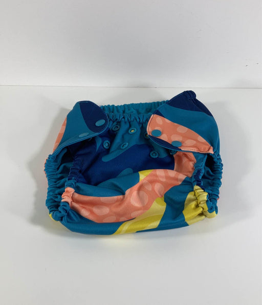 used Esembly Cloth Diapers