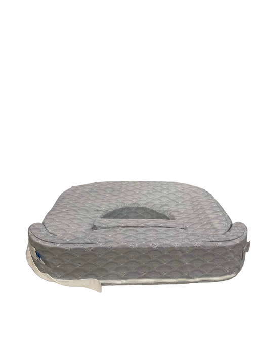 secondhand My Brest Friend Twins Plus Feeding Pillow, Horizon