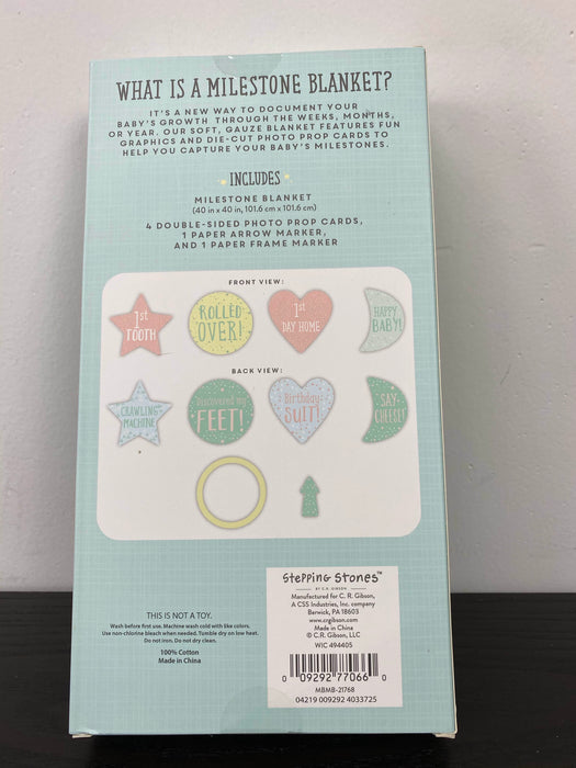 secondhand Stepping Stones Baby’s First Year Belly Stickers