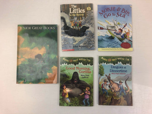 used BUNDLE Children’s Chapter Books