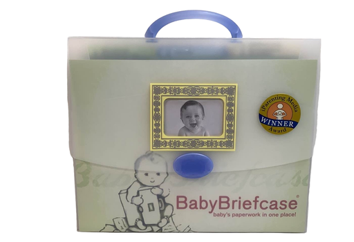 used Baby Briefcase Organizer