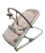 used Tiny Love 2-In-1 Rocker