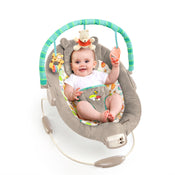 used Disney Baby Winnie The Pooh Bouncer