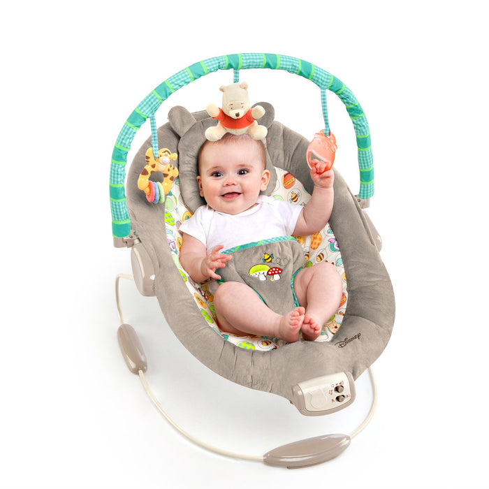 Disney Baby Winnie The Pooh Bouncer